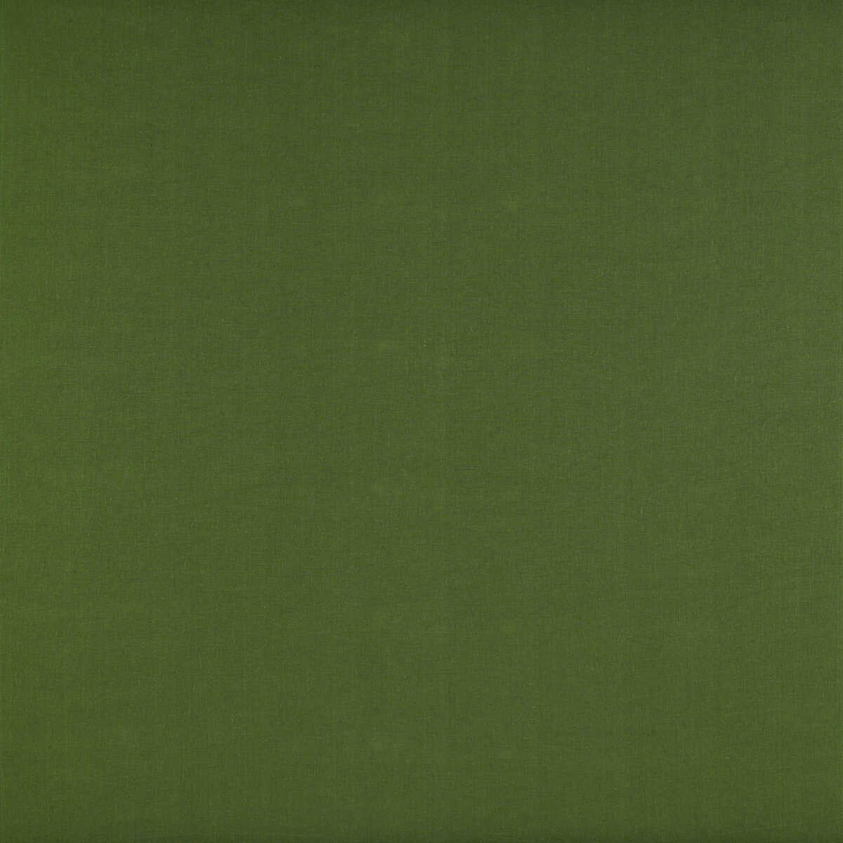Recoletos - Verde - GASTON Y DANIELA Fabric