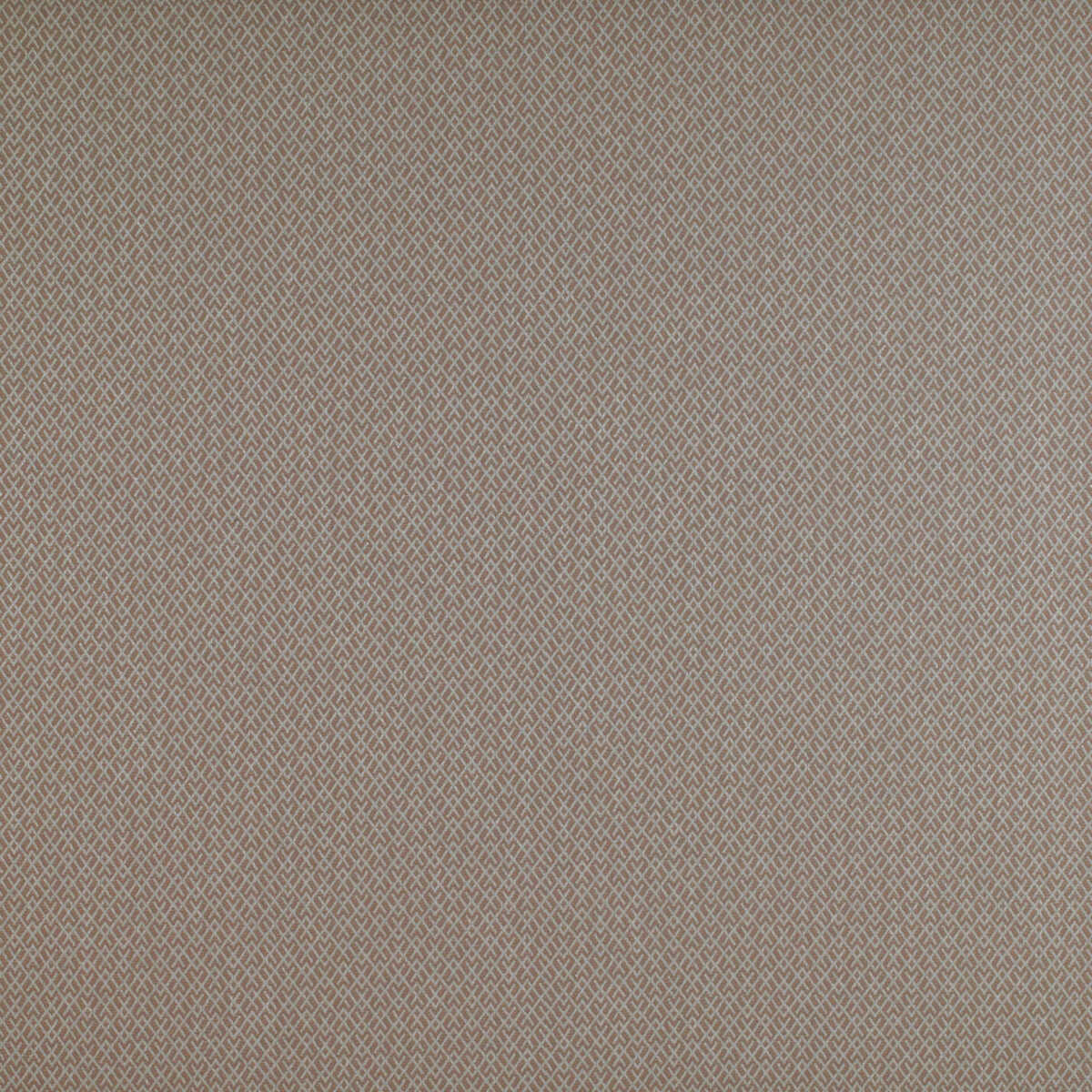 Chueca - Beige - GASTON Y DANIELA Fabric