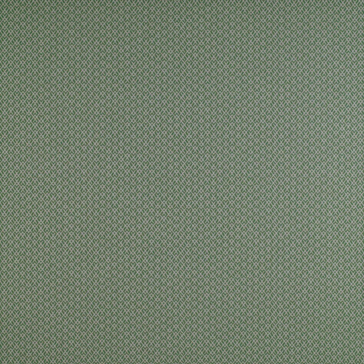 Chueca - Verde - GASTON Y DANIELA Fabric