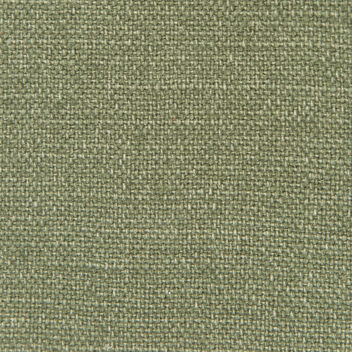 Nicaragua - Verde Oscuro - GASTON Y DANIELA Fabric
