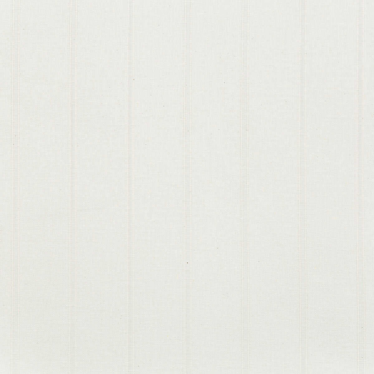Rocha - 01