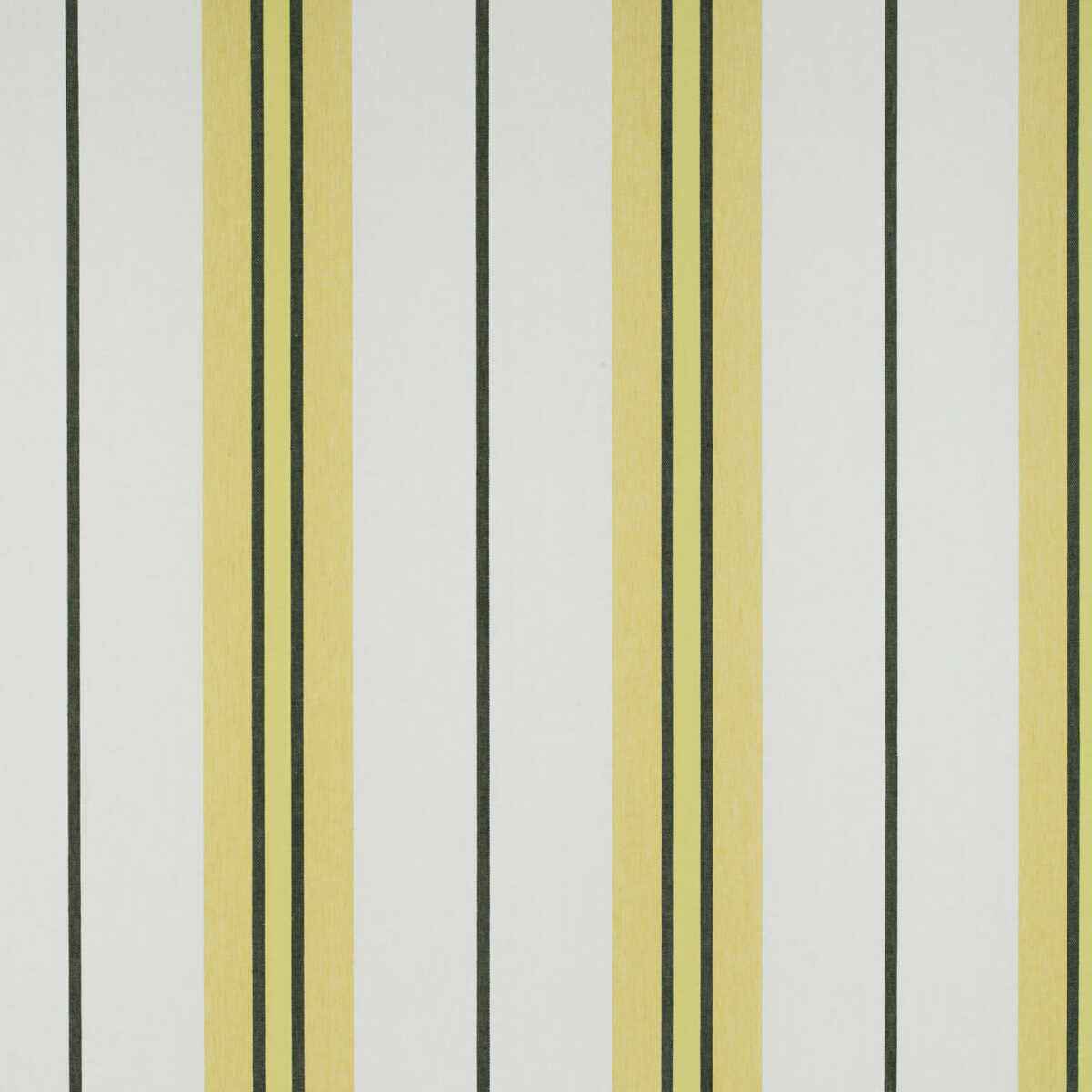 Gdt53100010 Burano Onyx Amarillo Gaston Y Daniela Fabric - GASTON Y DANIELA Fabric