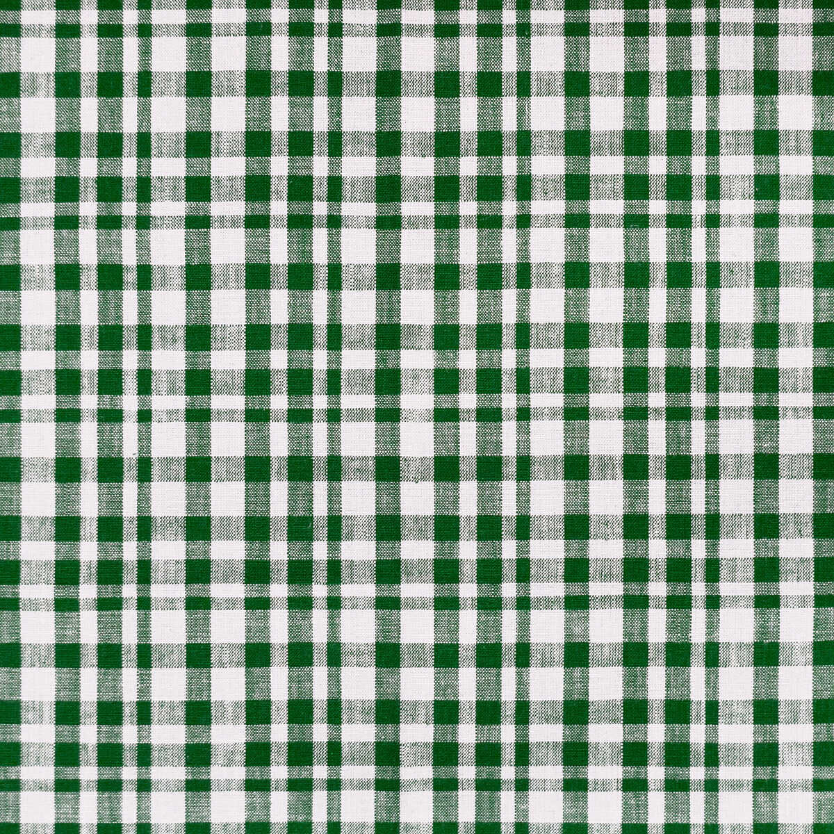 Drach - Blanco/Verde Oscuro - GASTON Y DANIELA Fabric