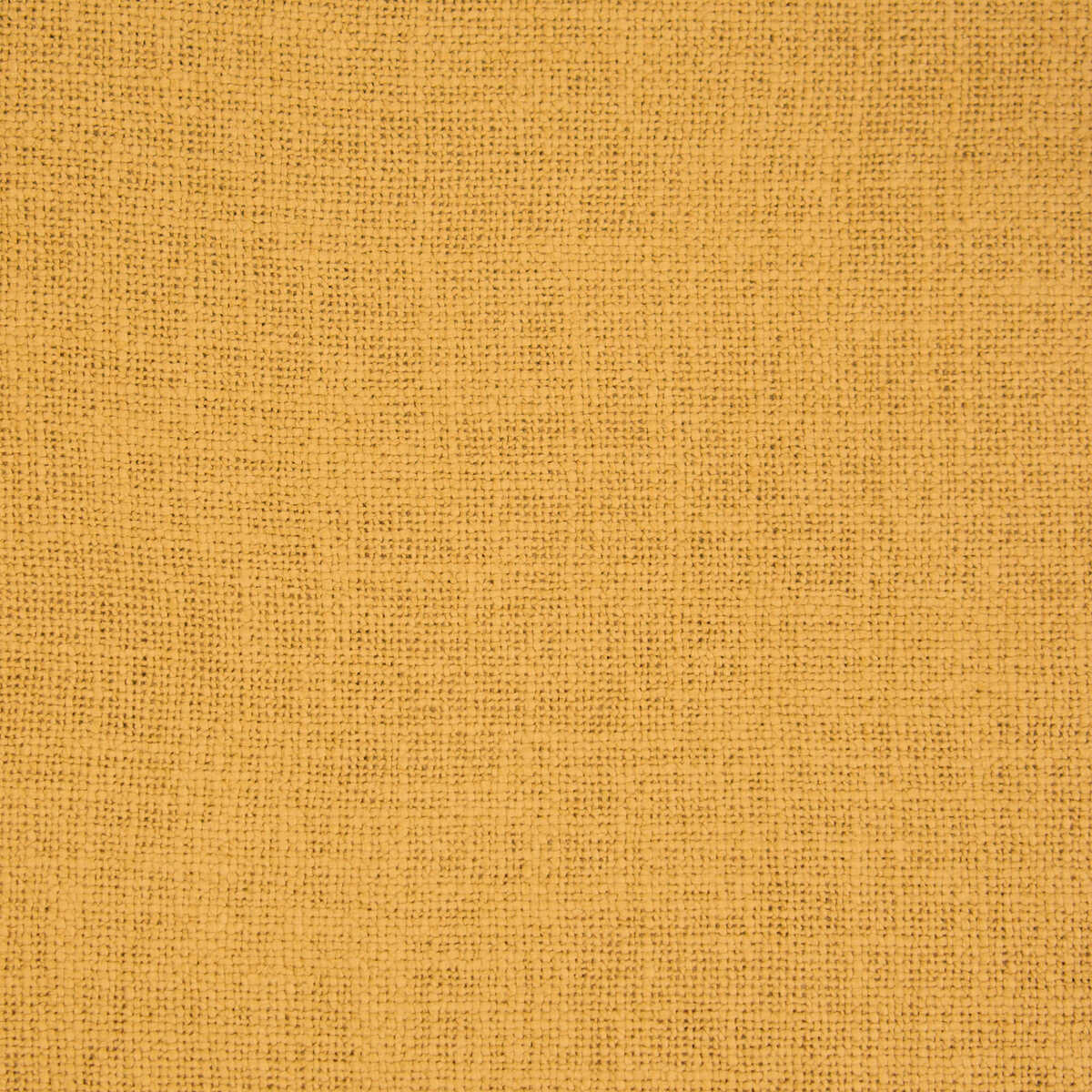 Bellver - Ocre - GASTON Y DANIELA Fabric