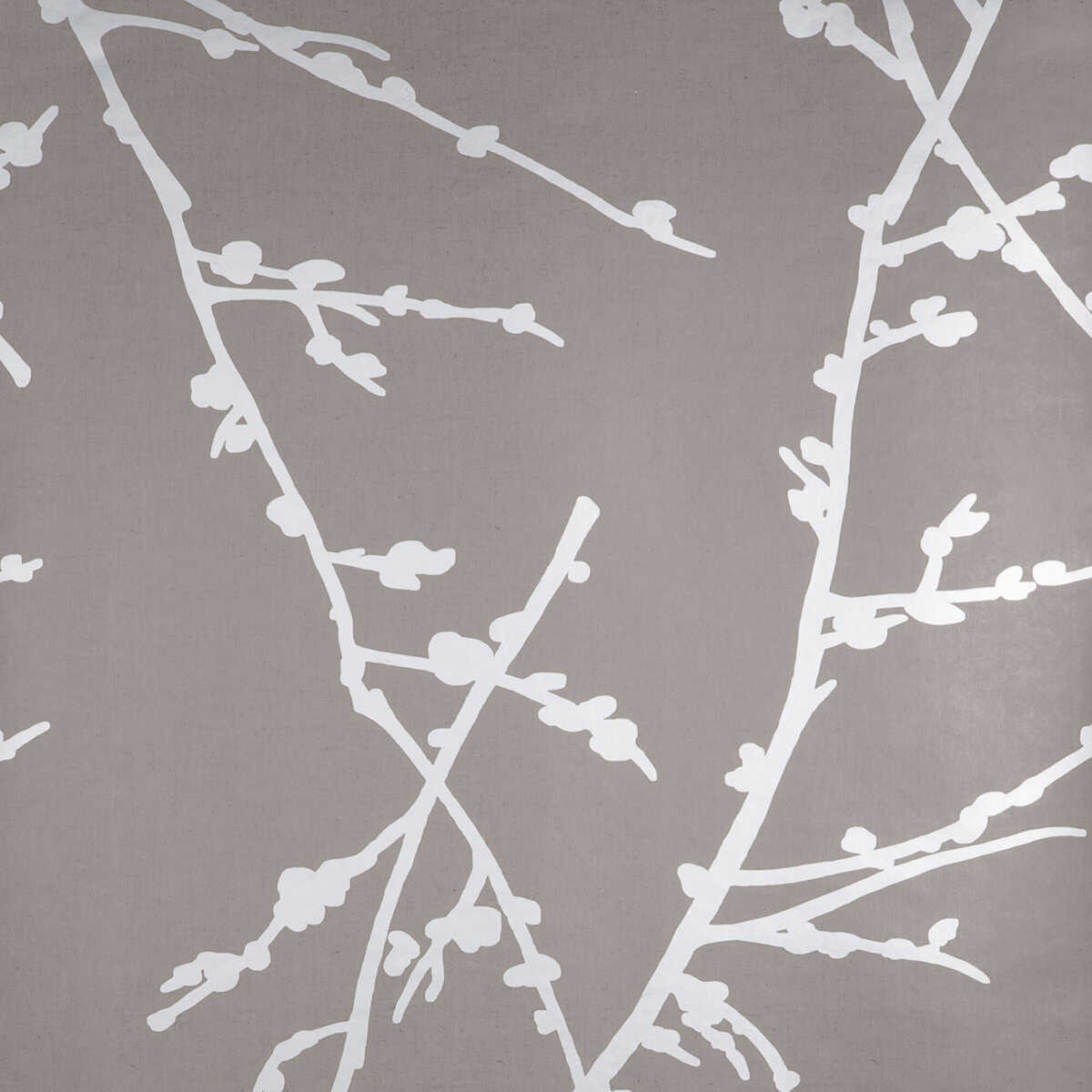 Almendros - Topo