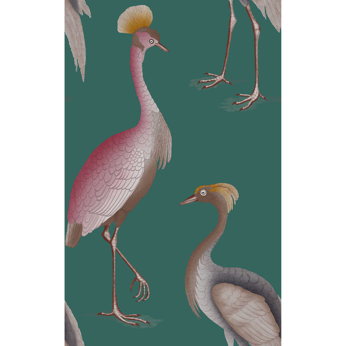 Garzas - Oceano