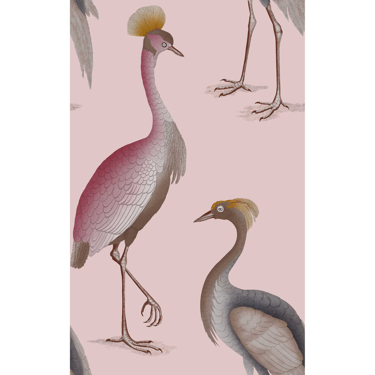 Garzas - Rosa - GASTON Y DANIELA Wallpaper