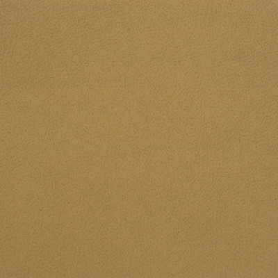 Kravet Design - Genslar-16 - KRAVET DESIGN Fabric