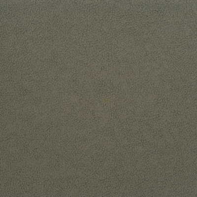 Kravet Design - Genslar-21