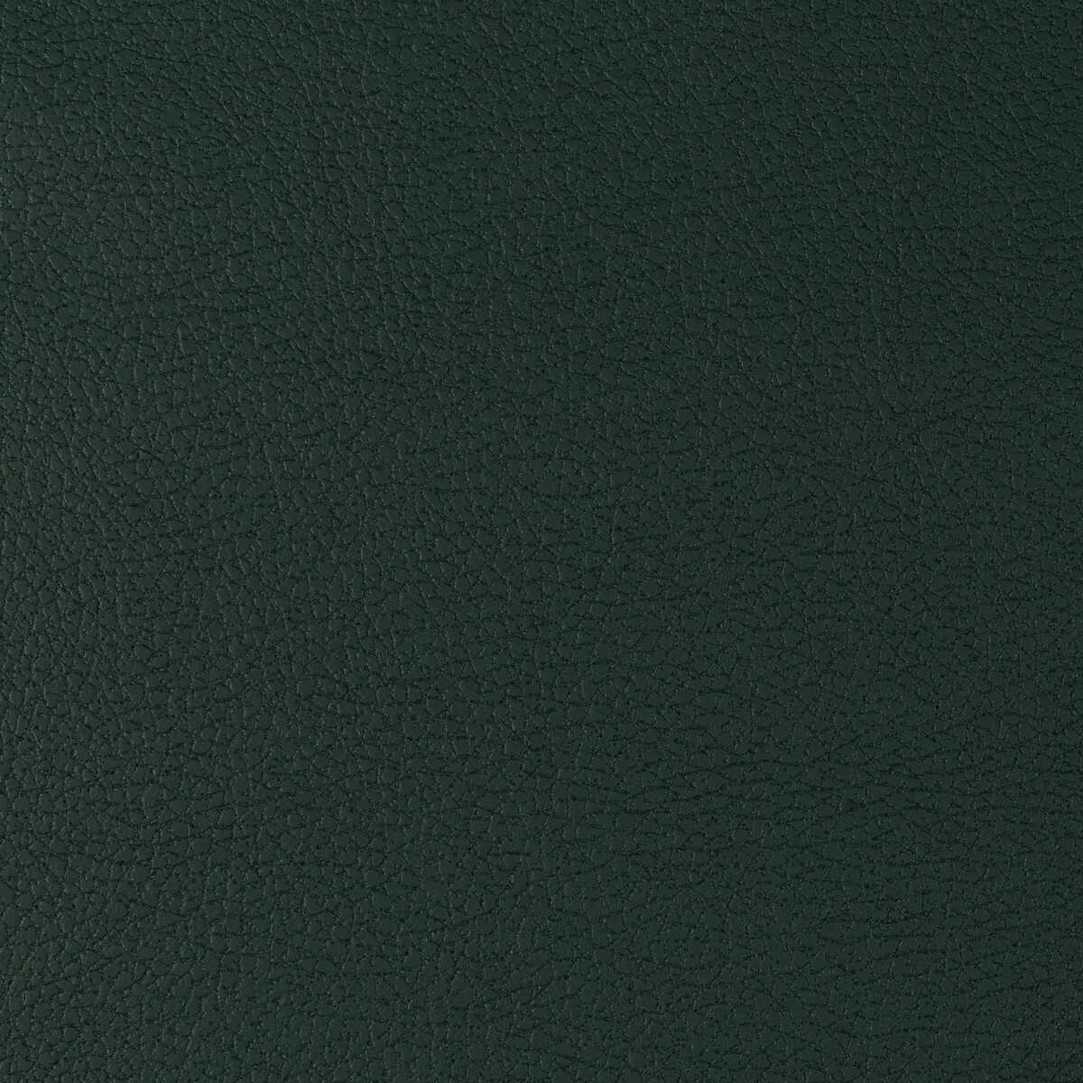 Kravet Design - Genslar-35 - KRAVET DESIGN Fabric