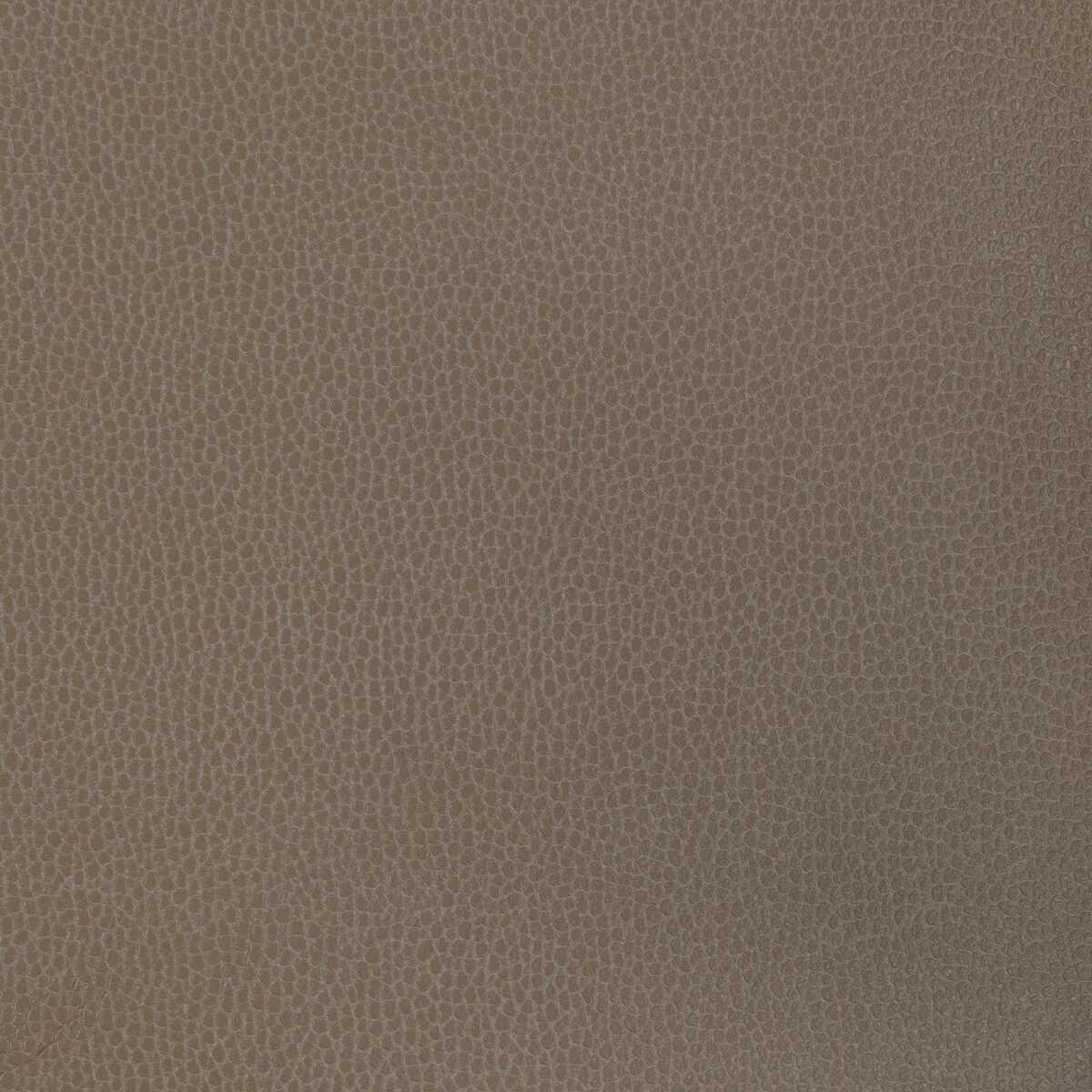 Kravet Design - Gillian-1611 - KRAVET DESIGN Fabric