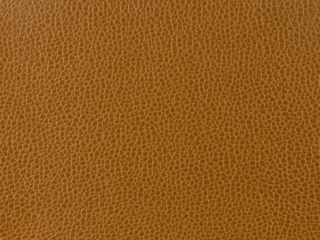 Kravet Design - Gillian-24