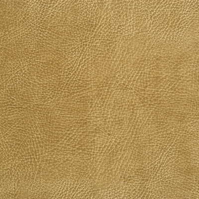 Kravet Design - Glendale-16