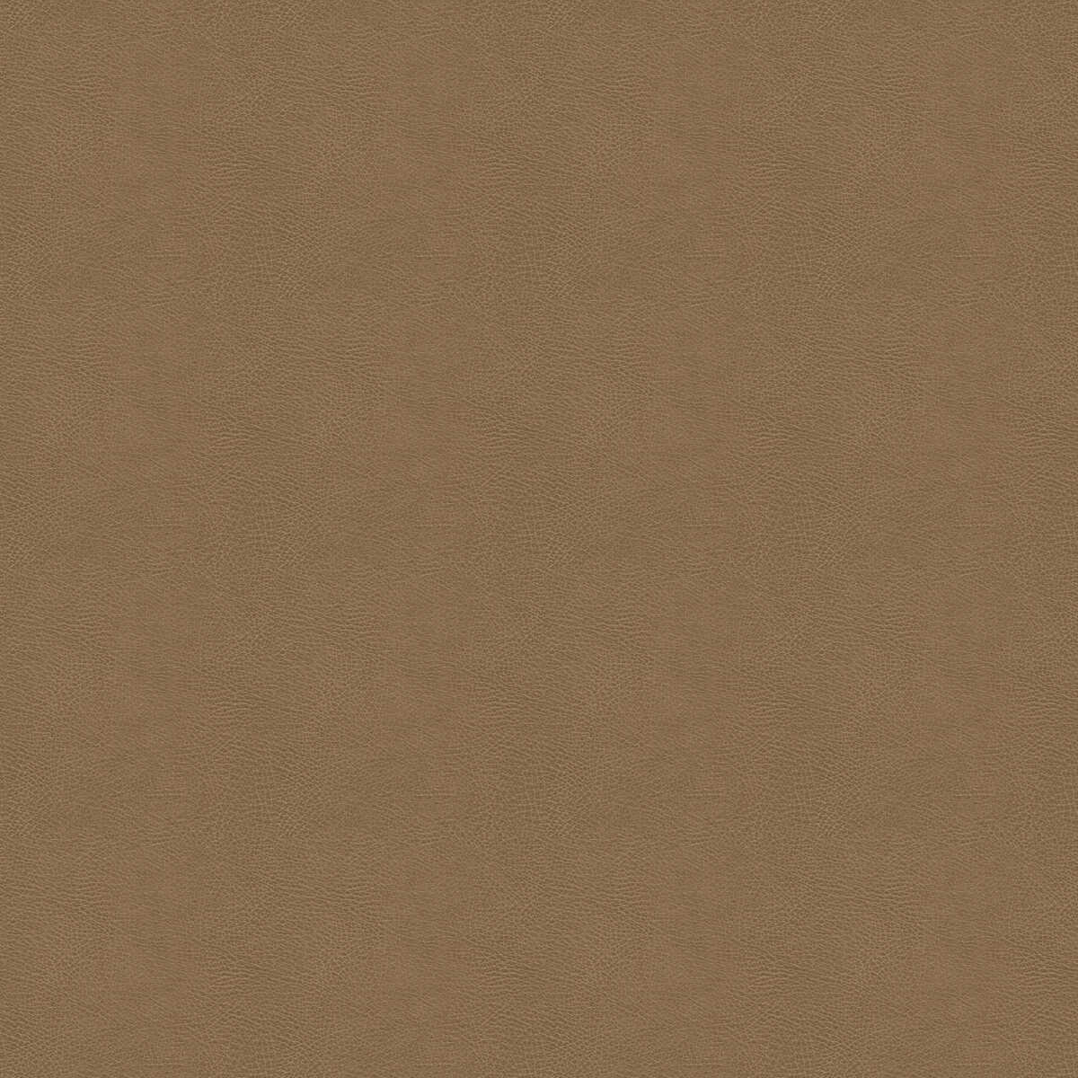 Kravet Design - Glendale-1616