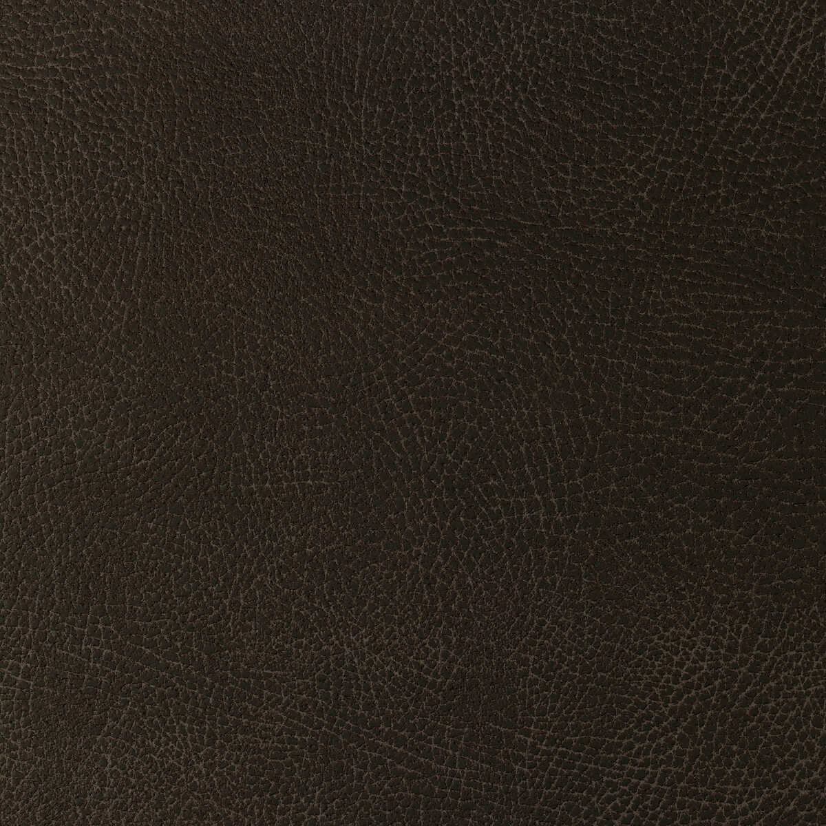 Kravet Design - Glendale-1666