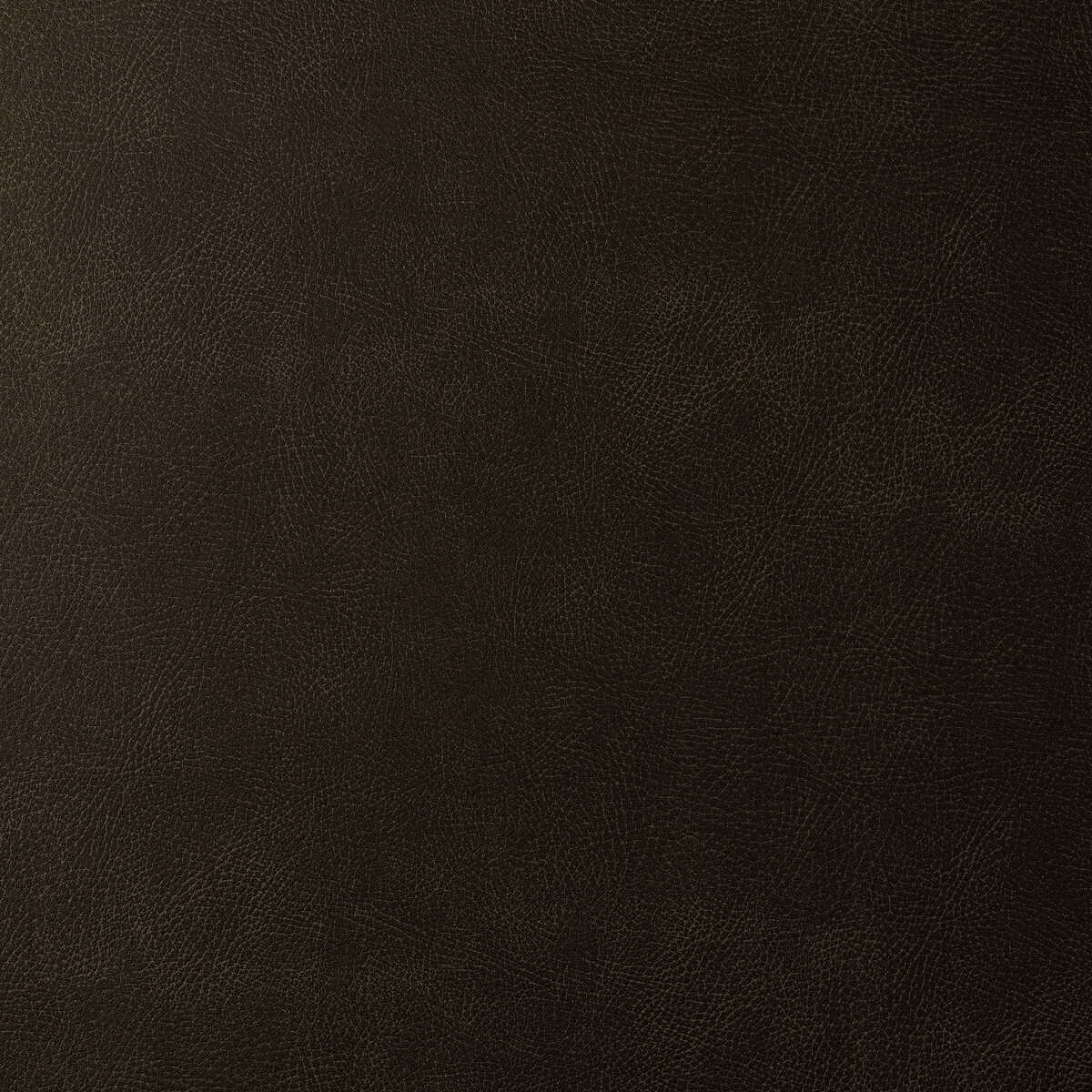 Kravet Design - Glendale-1666 - KRAVET DESIGN Fabric