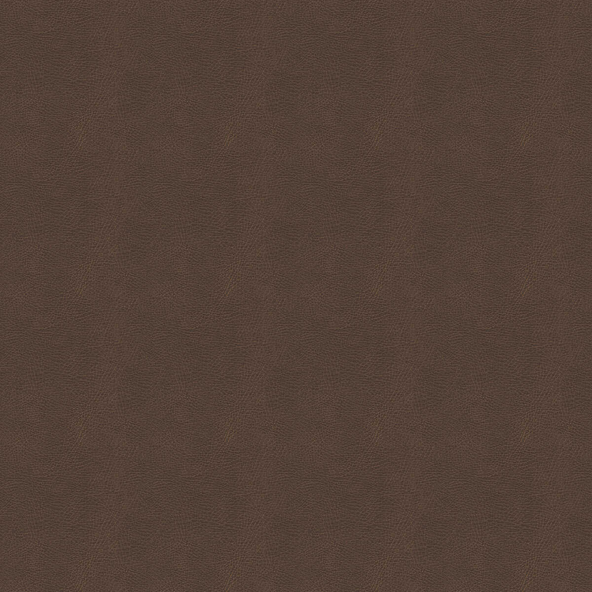 Kravet Design - Glendale-666