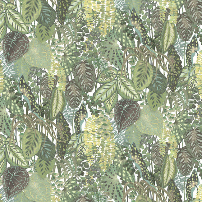 greenery-wall-mural-cotton-york-wallcoverings-go8332m