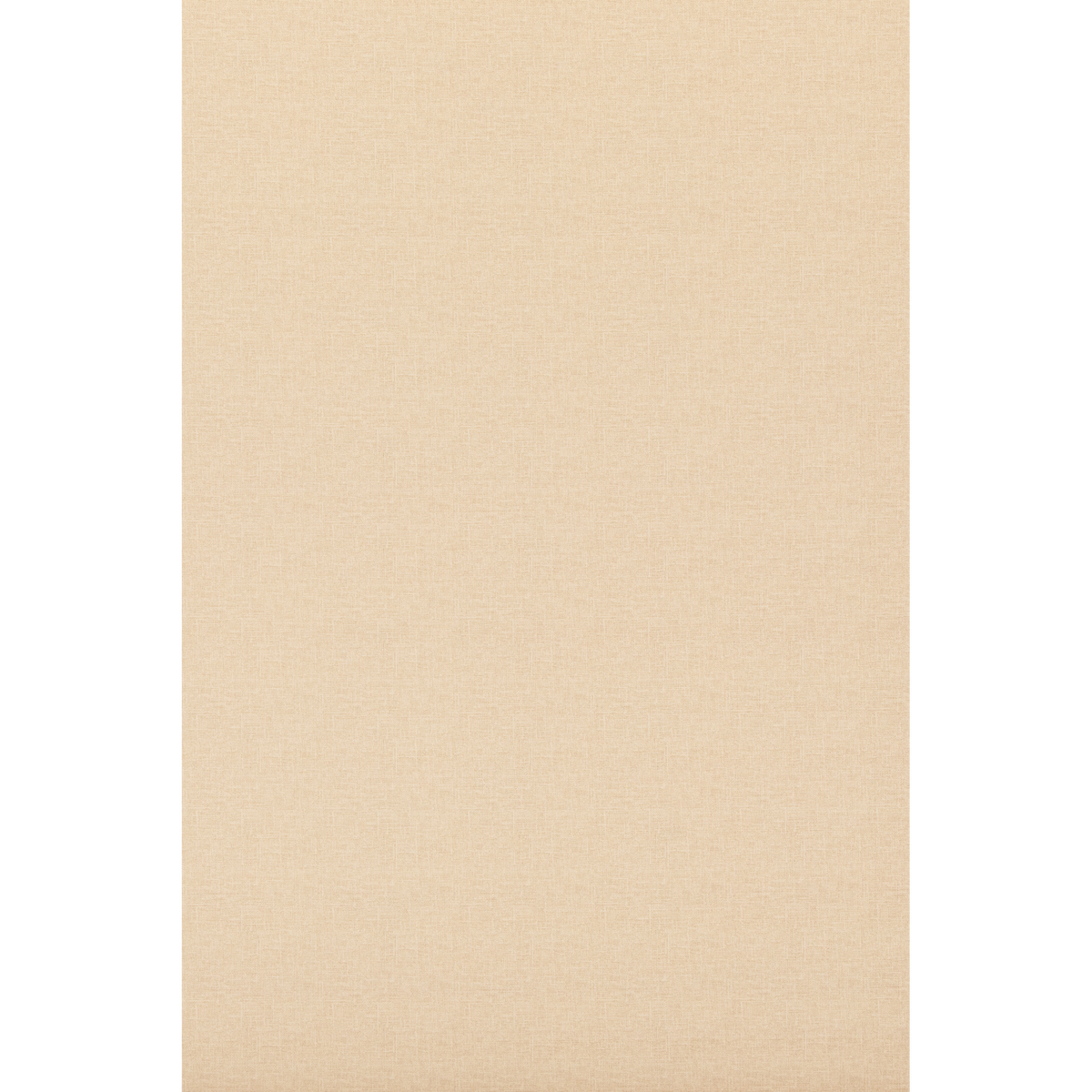 George & Minnie Canvas - Barley