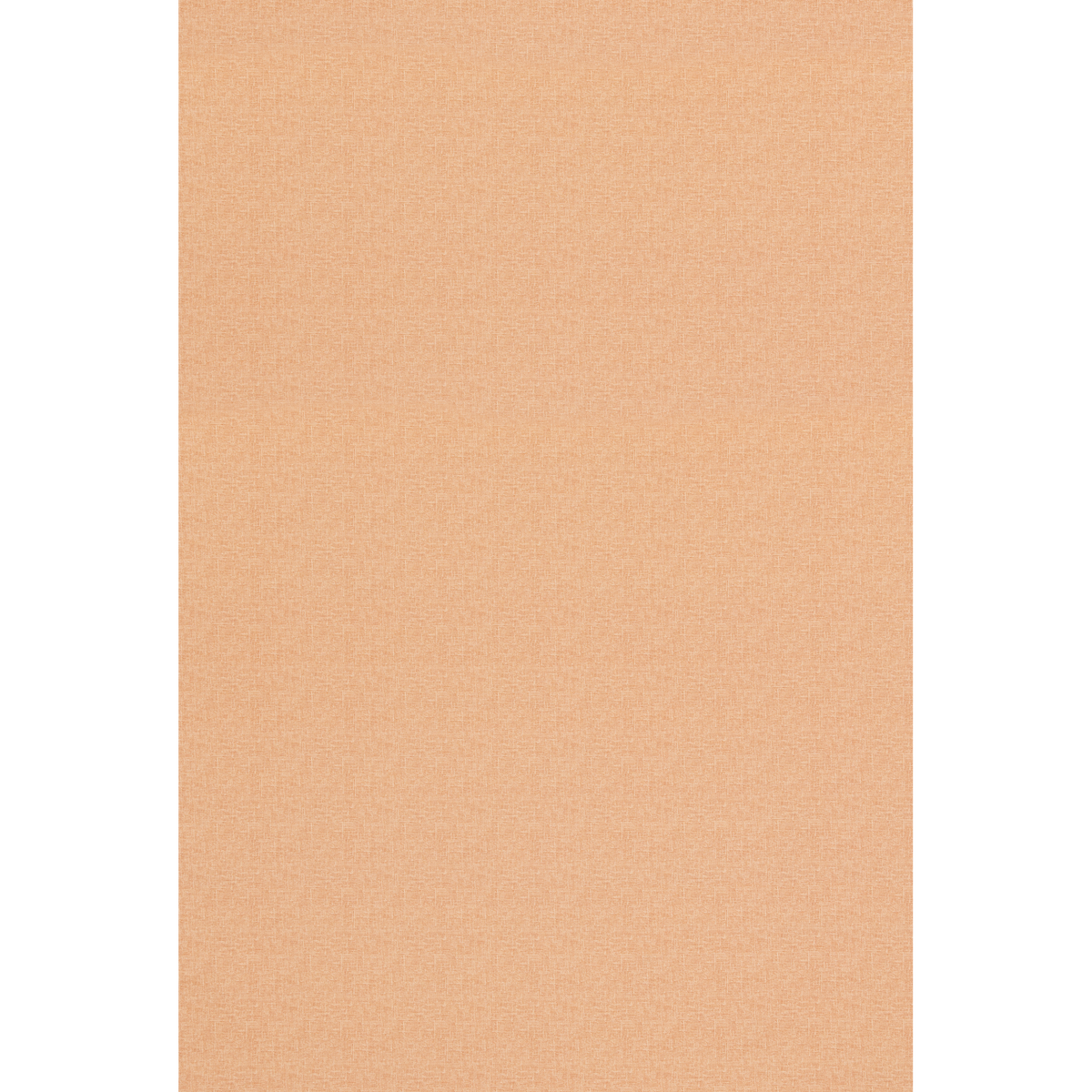George & Minnie Canvas - Coral - George & Minnie Fabric