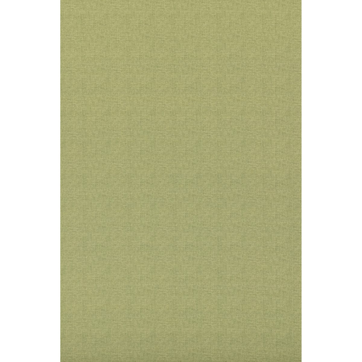 George & Minnie Canvas - Emerald - George & Minnie Fabric