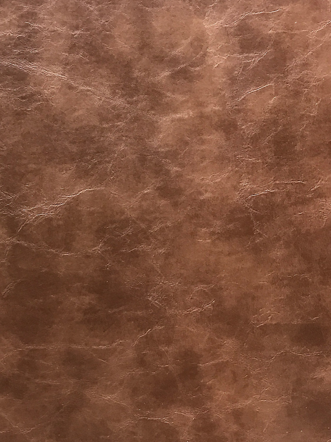 Elkhorn - Bison
