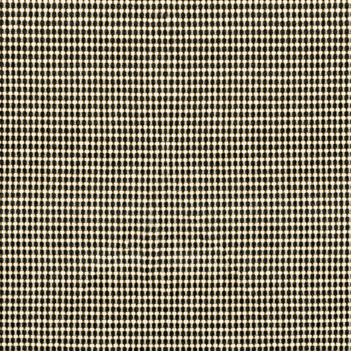 Risus - Night Sky - LEE JOFA MODERN Fabric