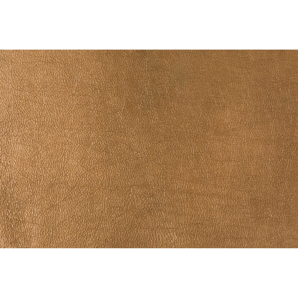 Trophy - Copper - LEE JOFA MODERN Fabric