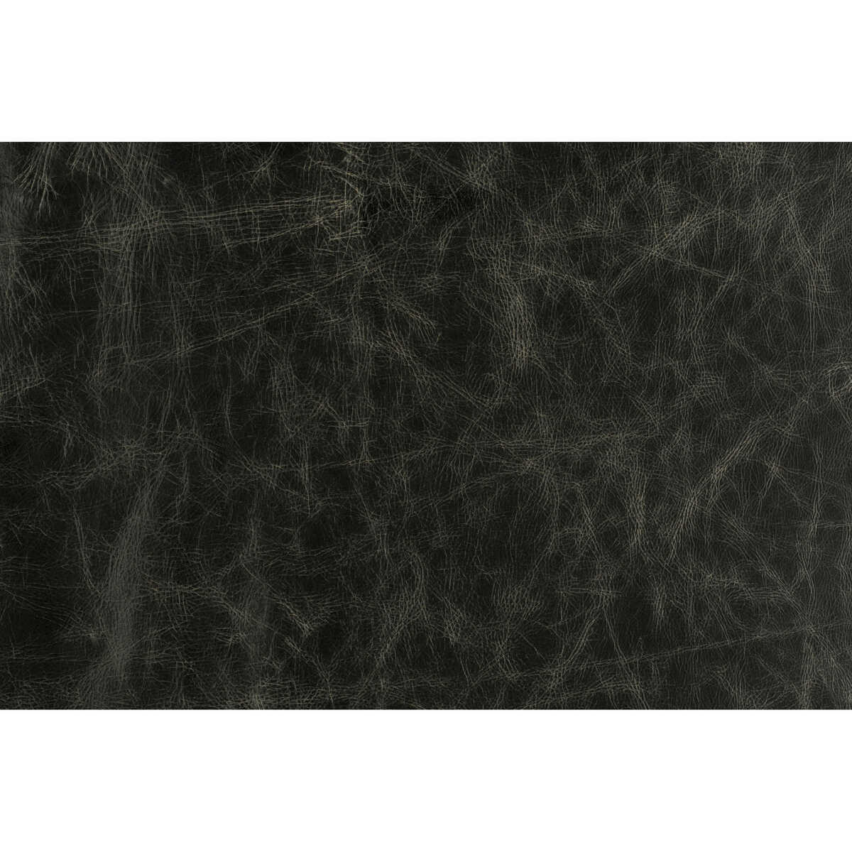 Notorious - Black - LEE JOFA MODERN Fabric