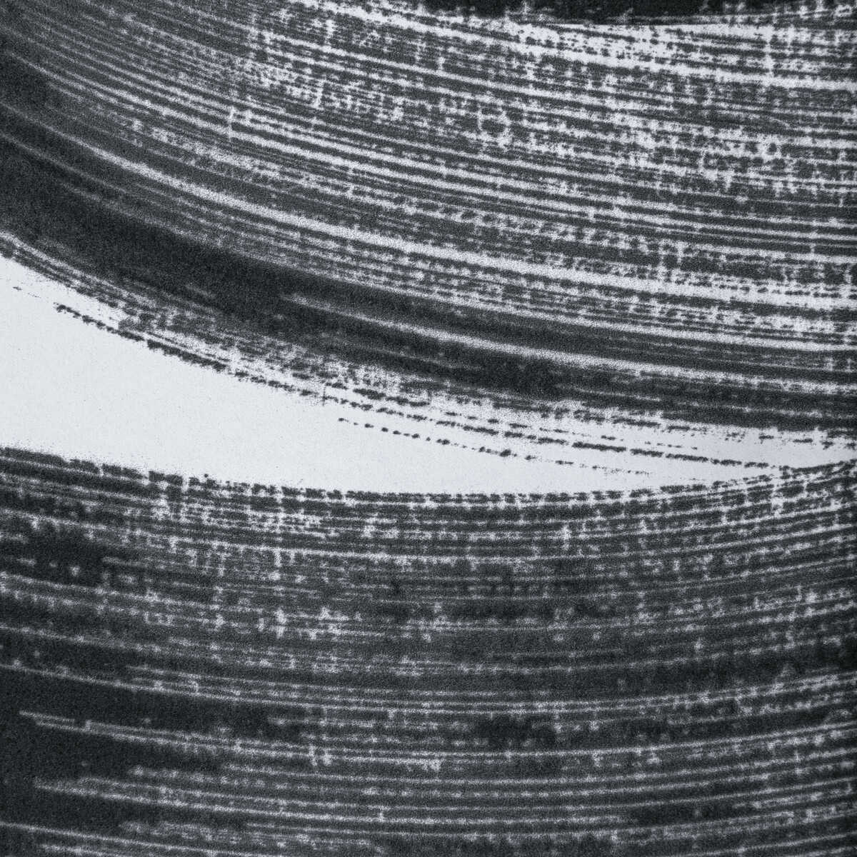 Laryo Paper - Ink - LEE JOFA MODERN Wallpaper