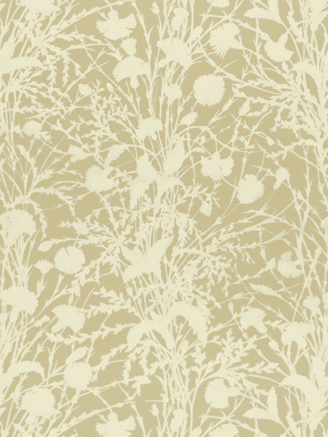 Wildflower - Oat - Scalamandre Fabric