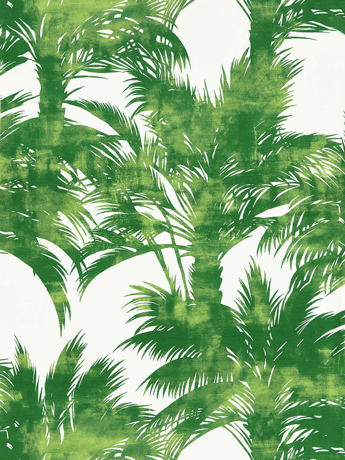 Palm Print - Palm