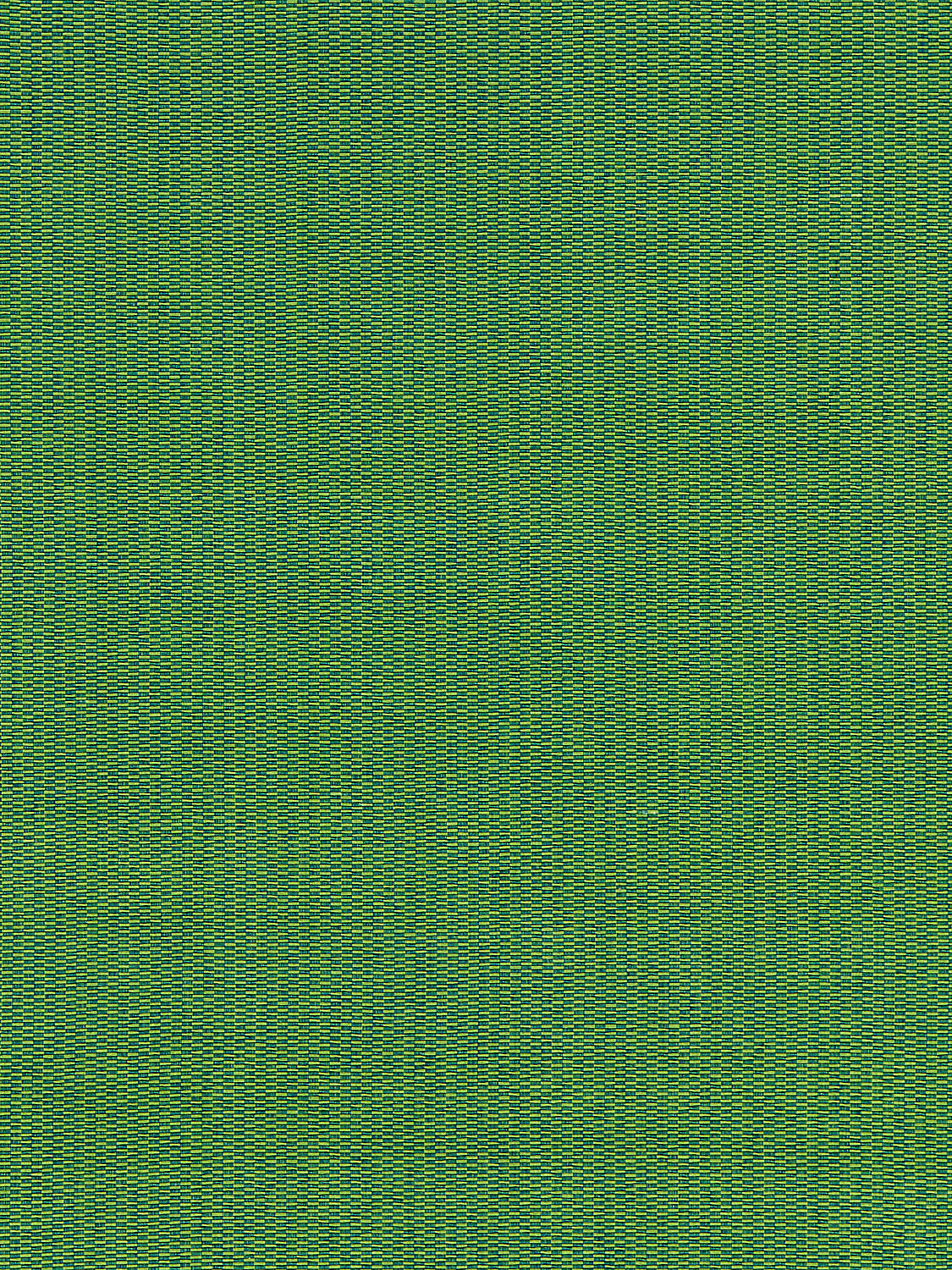 Reed Texture - Palm