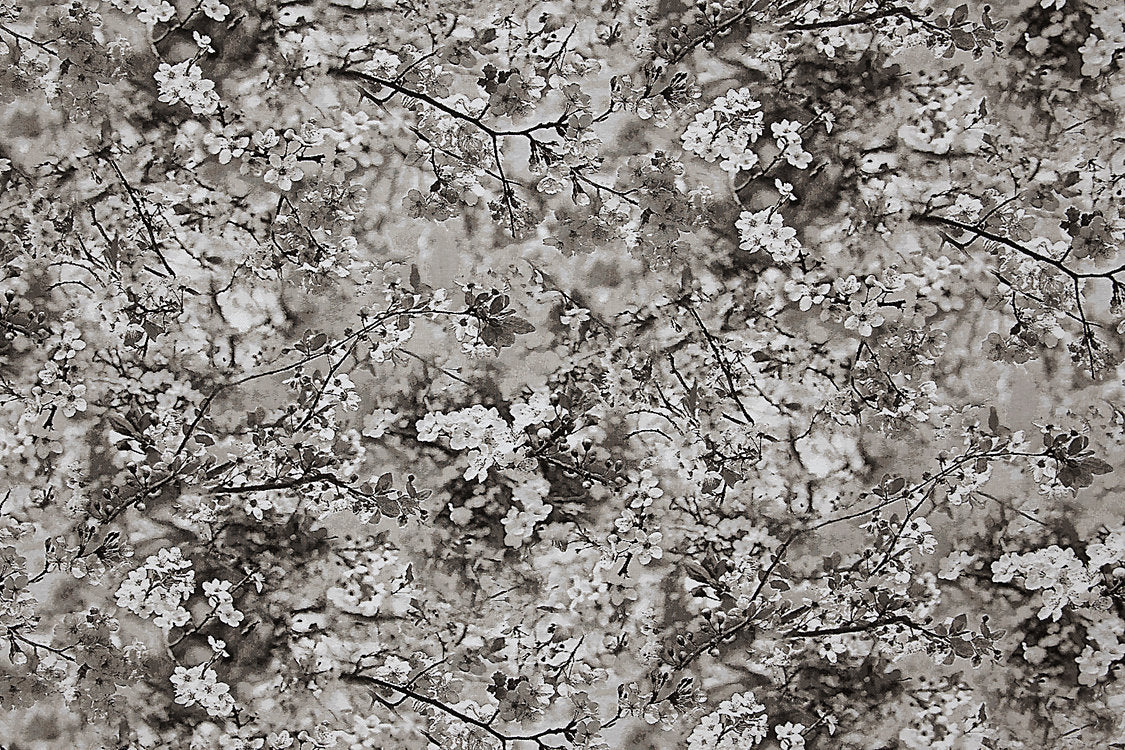 Sakura Tapestry - Naturel - Scalamandre Fabric