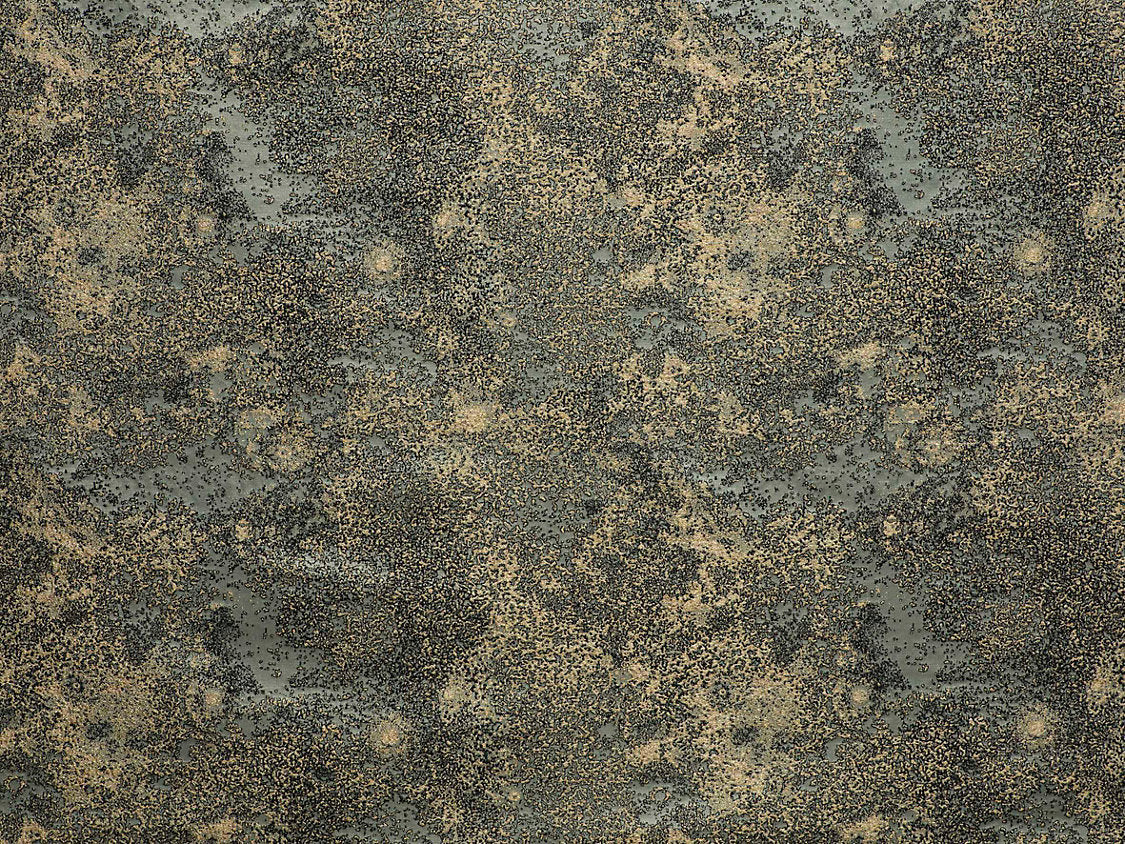 Astral - Lichen - Scalamandre Fabric