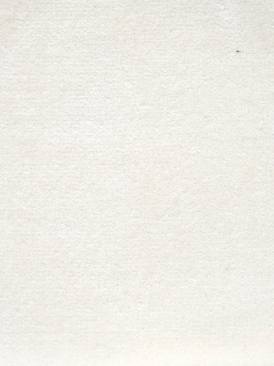 Cosmos - Ecume - Scalamandre Fabric
