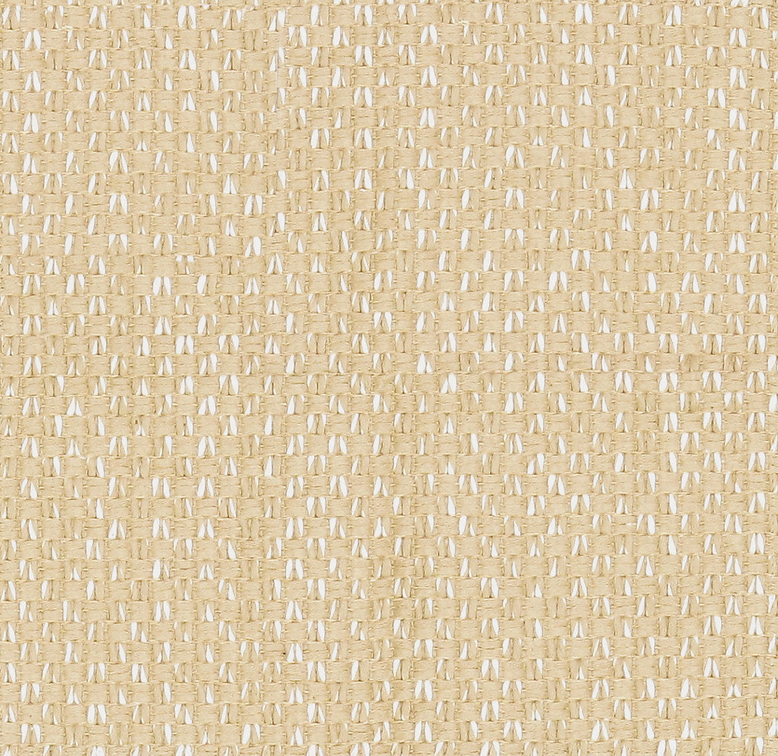 Seed - Daim