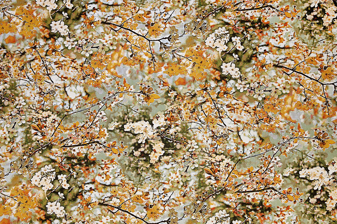 Sakura Tapestry - Dore - Scalamandre Fabric