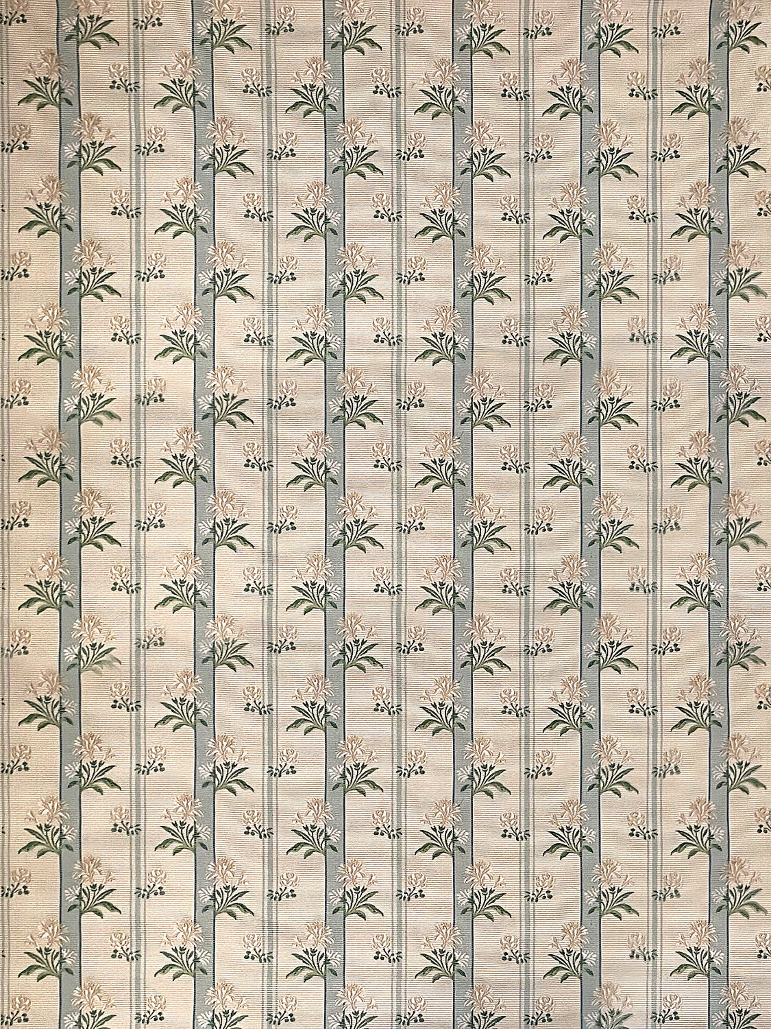Bleuets - Beige