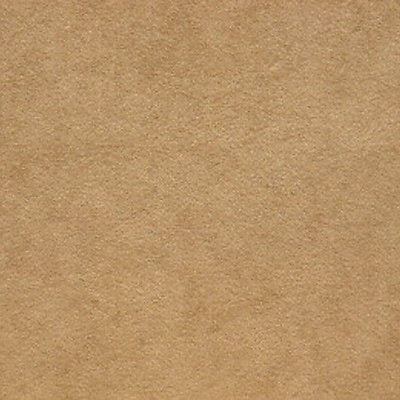 Alcantara - Camel
