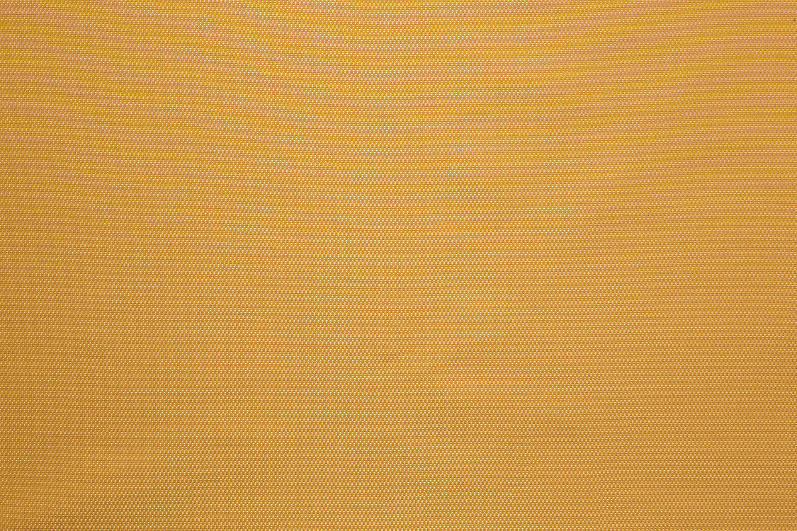 Natto M1 - Or
