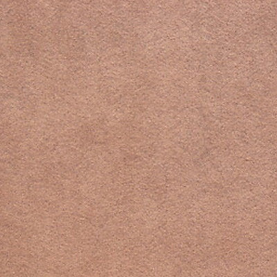 Alcantara - Biche - Scalamandre Fabric