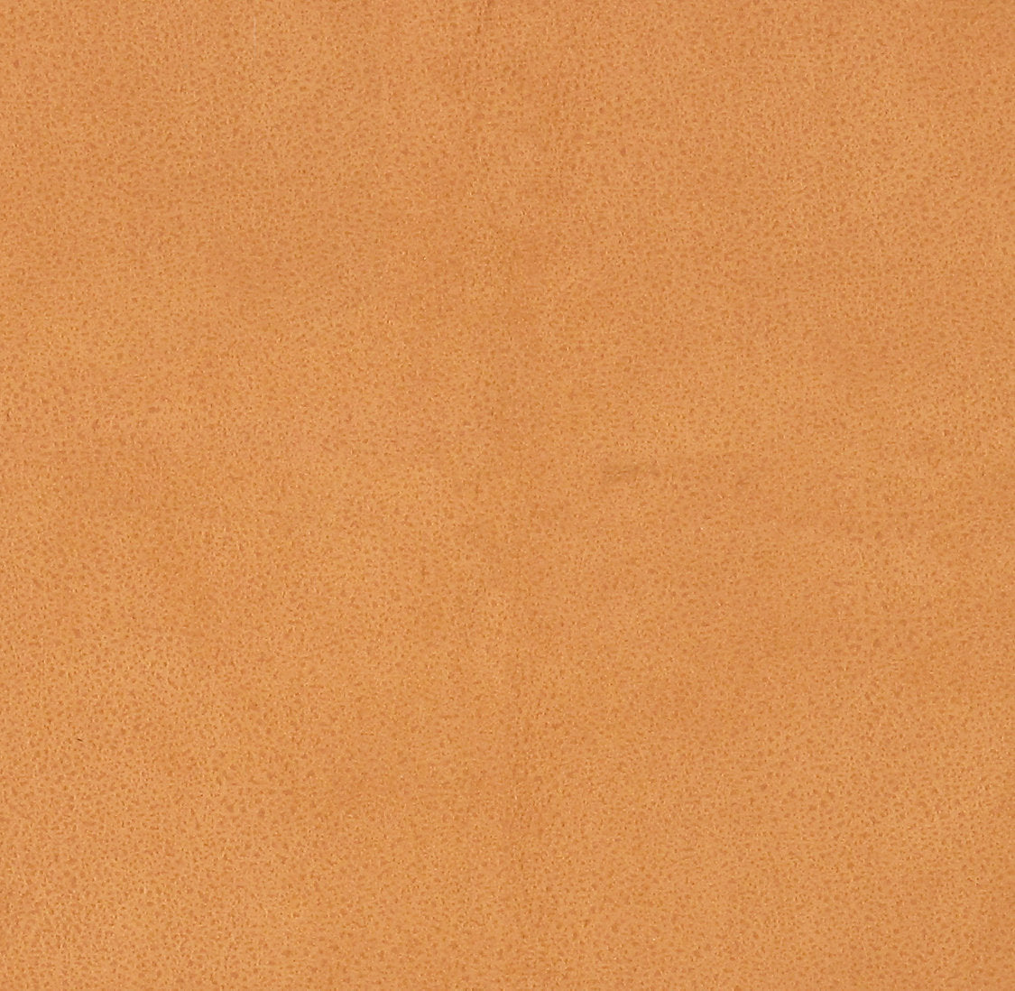 Western - Antilope - Scalamandre Fabric
