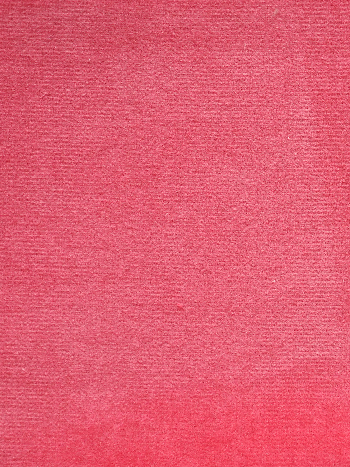 Cosmos - Rose - Scalamandre Fabric