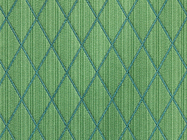 Filin - Foret