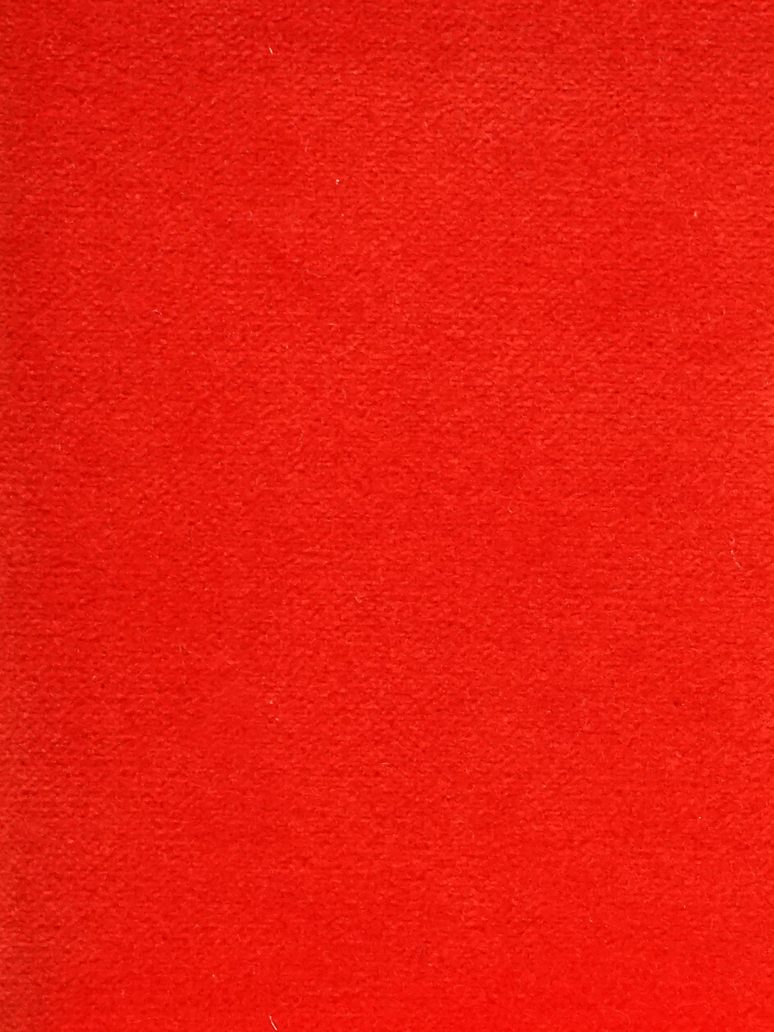 Cosmos - Coquelicot