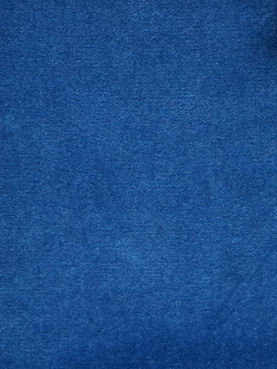 Cosmos - Nautilus - Scalamandre Fabric