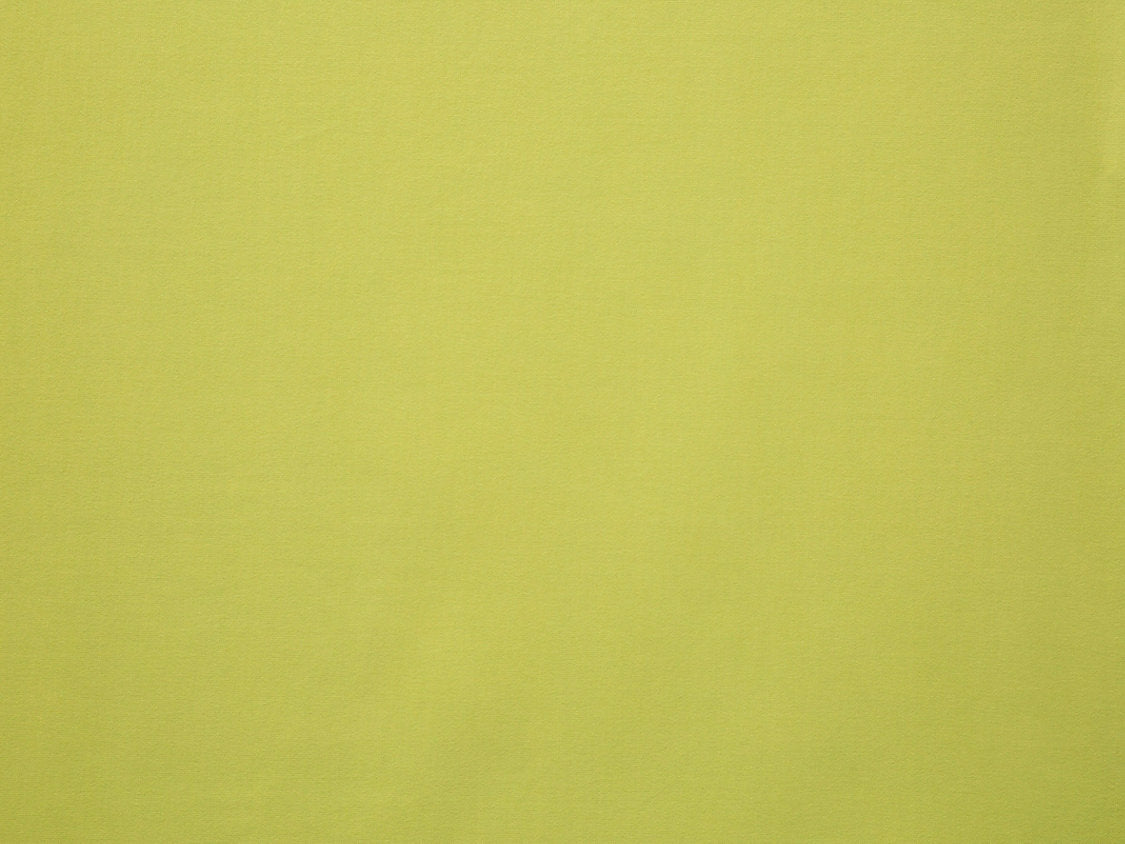 Toucan - Printemps - Scalamandre Fabric