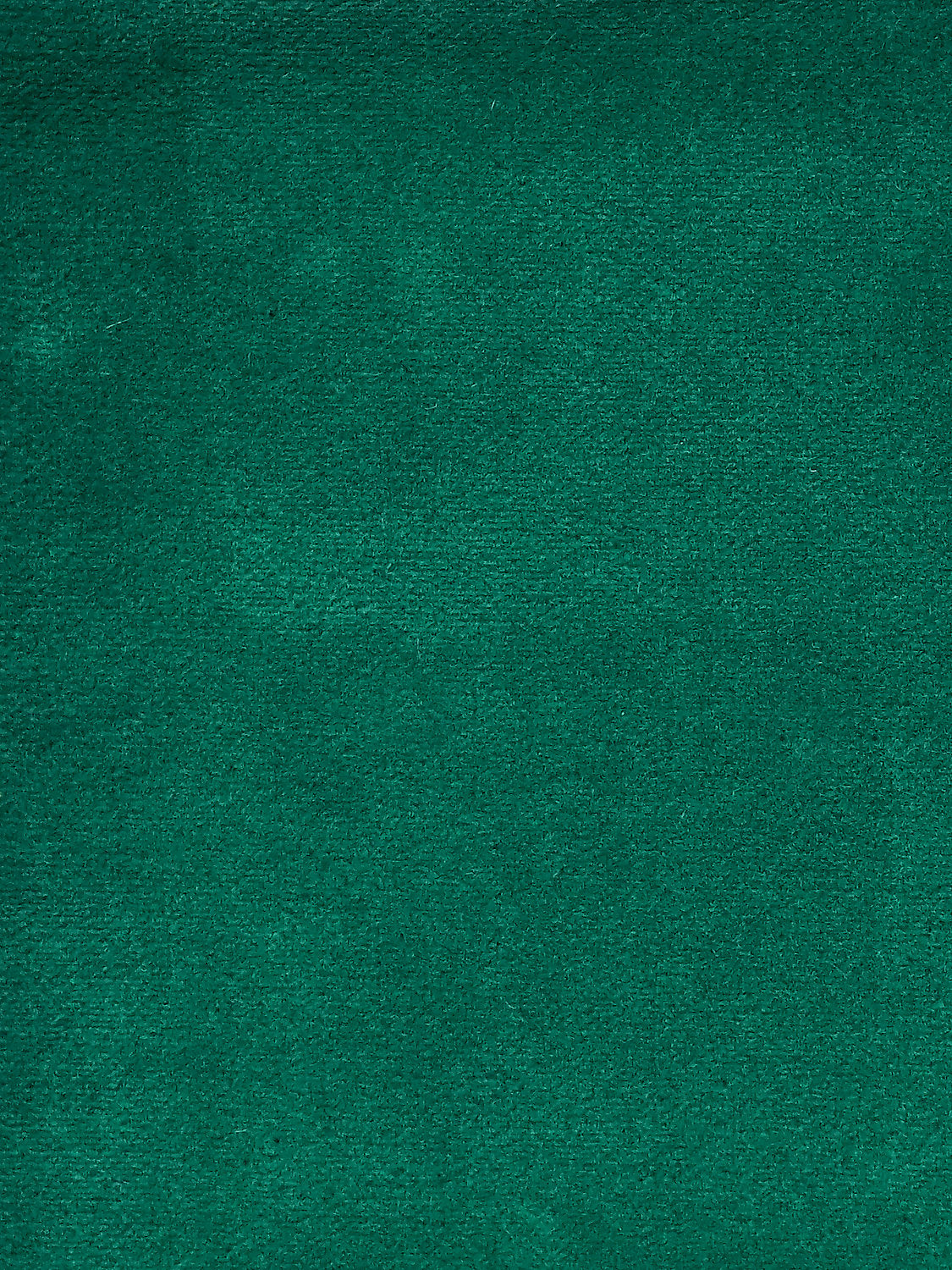 Cosmos - Emeraude - Scalamandre Fabric