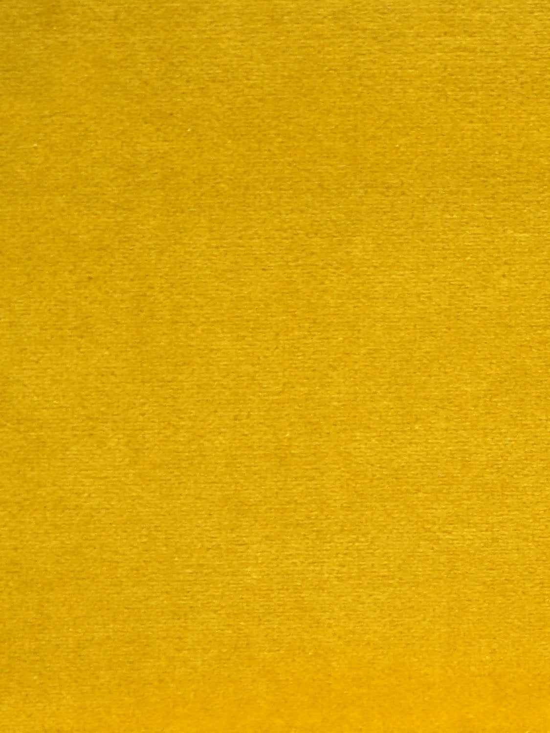 Cosmos - Pollen